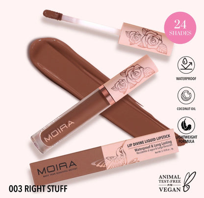 LIP DIVINE LIQUID LIPSTICK.